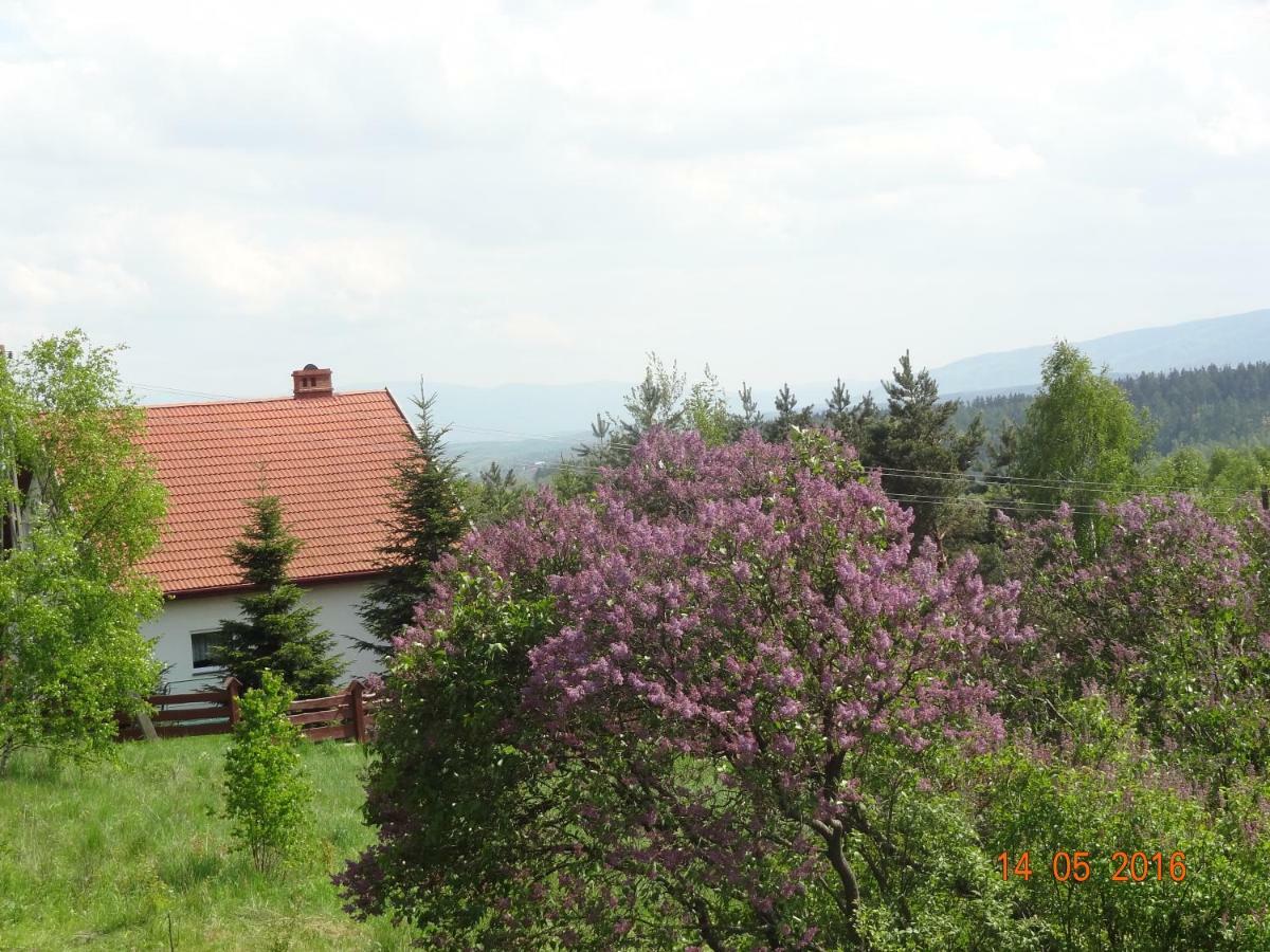 Dom Na Wzgorzu Villa Polanica-Zdroj Exterior photo